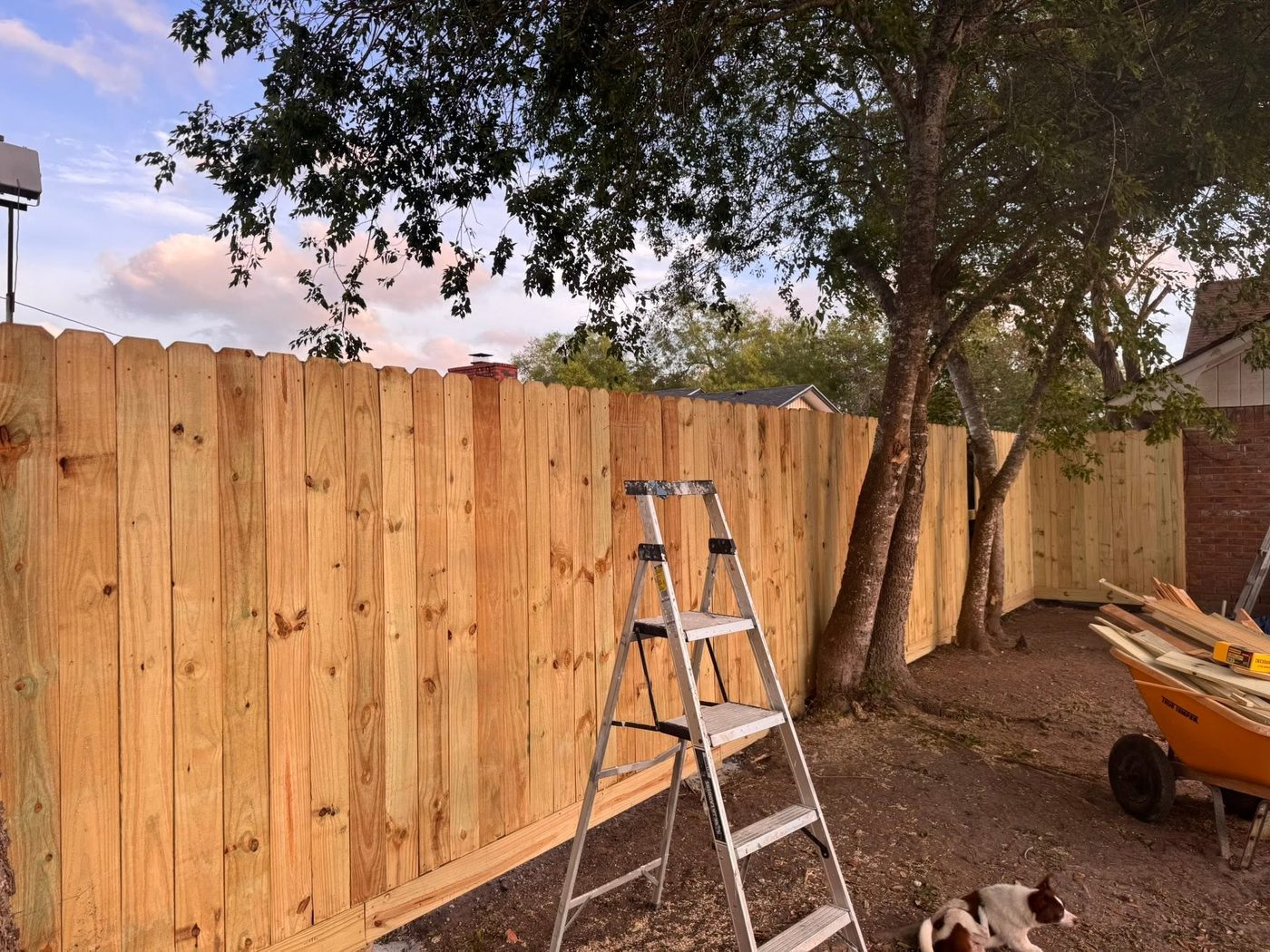 New cedar privacy fence